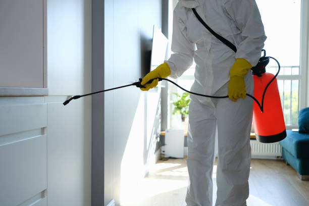 Best Mold Remediation for Schools in River Oaks, TX