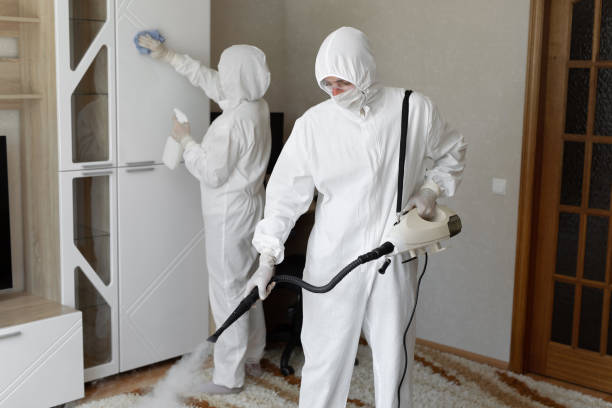 Best Post-Flood Mold Remediation in River Oaks, TX