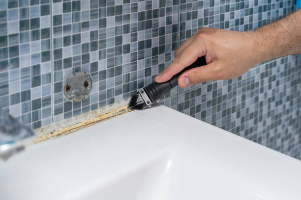 Best Industrial Mold Remediation in River Oaks, TX